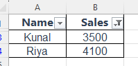 image 1 Sorting & Filtering Data in Excel