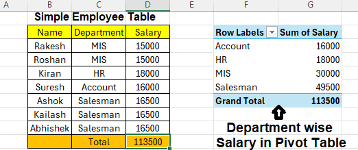 simple pivot table Excel Overview